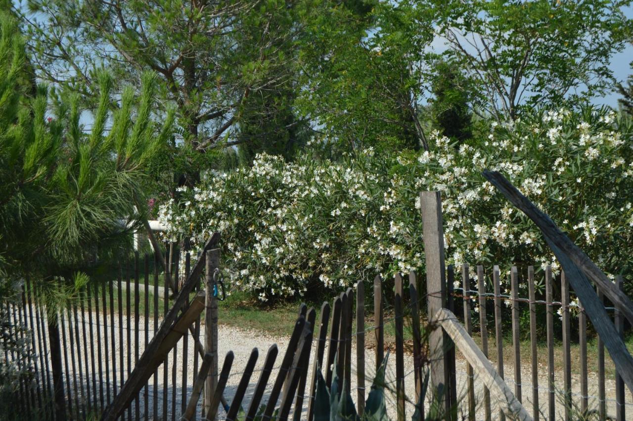 Bed and Breakfast Bergerie d'Alivon en Camargue Albaron Exterior foto