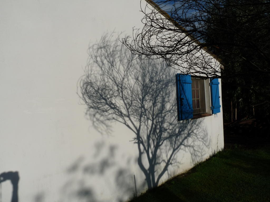 Bed and Breakfast Bergerie d'Alivon en Camargue Albaron Exterior foto