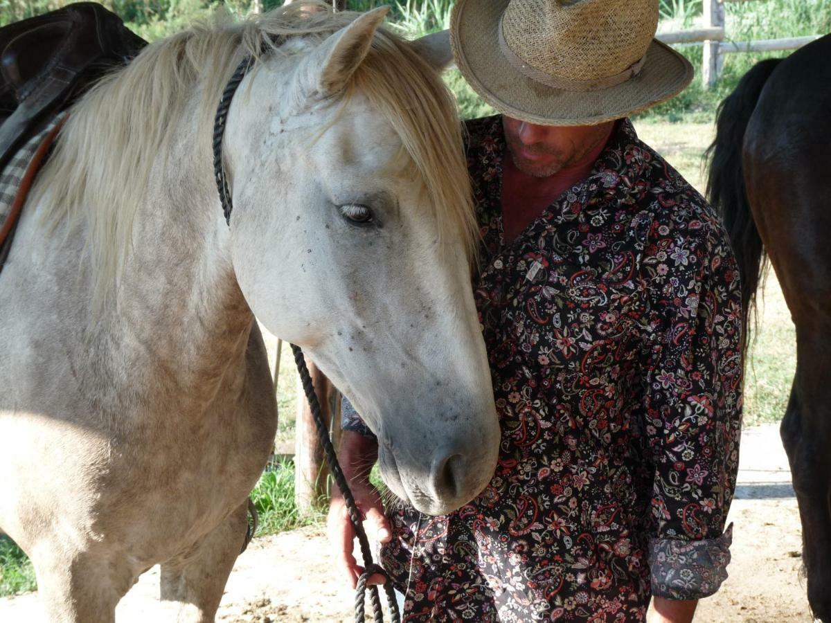 Bed and Breakfast Bergerie d'Alivon en Camargue Albaron Exterior foto